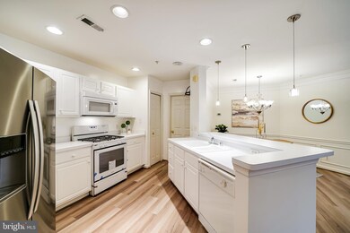12501 Hayes Ct unit 303, Fairfax, VA 22033 - photo 6
