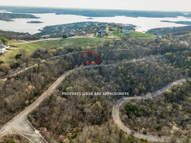 000 Hill Haven Rd, Ridgedale, MO 65672 - photo 5