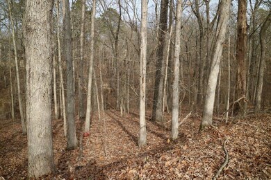 Lot 15 Stewkley Ln, Bella Vista, AR 72714 - photo 2