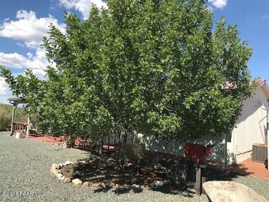 front tree