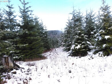 0 Gooseneck Creek Rd, Sheridan, OR 97378 - photo 3
