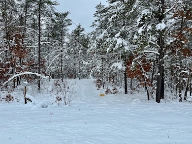 11335 S Broadway St, Bitely, MI 49309 - photo 7