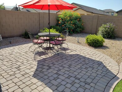 back yard 4