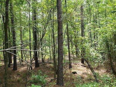 0 Goolsby Rd unit 7655845, Monticello, GA 31064 - photo 6