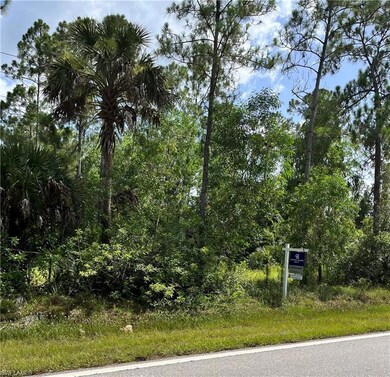 0 Randall Blvd unit 222023284, Naples, FL 34120 - photo 2