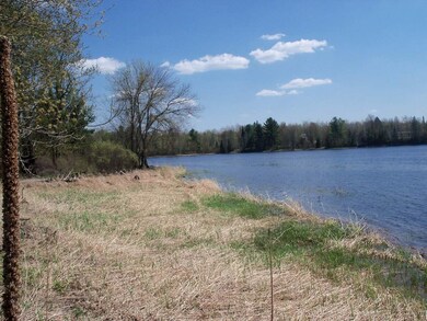 ON Eagle Waters Rd, Tomahawk, WI 54487 - photo 3