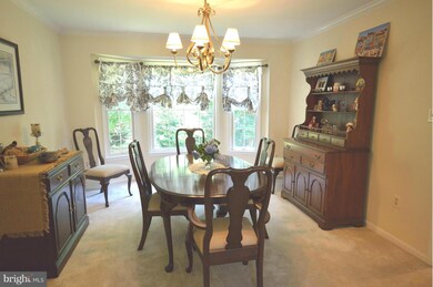 14 Sarasota Dr, Stafford, VA 22554 - photo 5