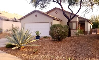 Frontyard 1