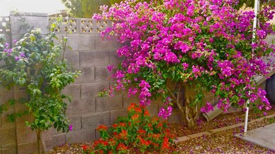 2325 E Elmwood St, Mesa, AZ 85213 - photo 3