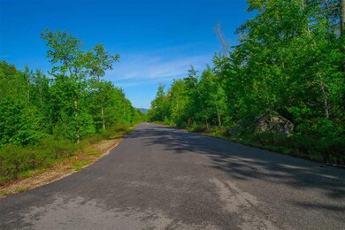 Lot 8 Lady Slipper Ln unit AKA Lot 12 per surve, Moultonborough, NH 03254 - photo 2
