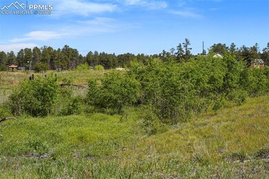 TBD Holmes Rd, Colorado Springs, CO 80908 - photo 4