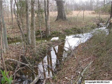 Creek