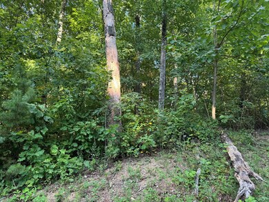 0 Trailwood Dr unit 407720, Ellijay, GA 30536 - photo 6