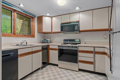 Large, bright kitchen