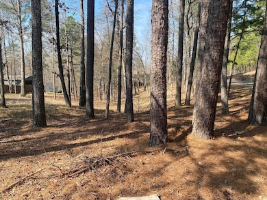 lot 3573A Coolwood Terrace, Hot Springs, AR 71913 - photo 2