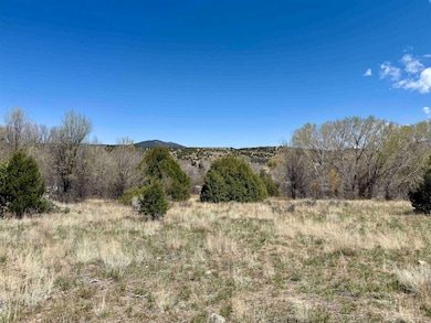 5 Acres Tract 47 Old Red River Rd, Questa, NM 87556 - photo 2