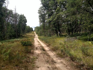 VL Gas Line Rd, Baldwin, MI 49304 - photo 5