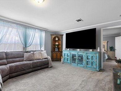 112 Salty Dog Ln, Springtown, TX 76082 - photo 3