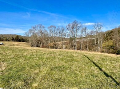 231 Highway 1003, Somerset, KY 42501 - photo 6