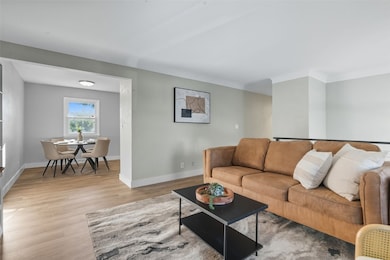 1733 Hillside Dr NW, Cedar Rapids, IA 52405 - photo 4