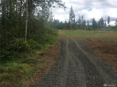 862 Highway 603, Chehalis, WA 98532 - photo 6