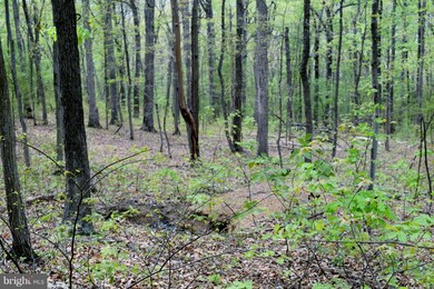 0 Catron Ridge Rd unit 1000405215, Bentonville, VA 22610 - photo 6