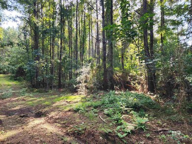 0 Lowery Rd unit Lot 10 382938, Atmore, AL 36502 - photo 6