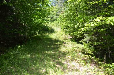 0 Farm Ridge Rd unit Lots 18/19, Ludlow, VT 05149 - photo 6