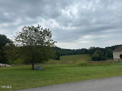 TBD Walton Ridge Rd, Bristol, VA 24202 - photo 2
