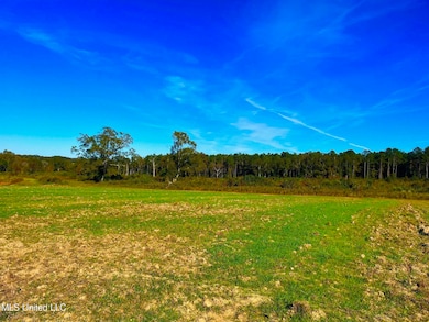 0 Darbun China Grove Rd unit 4132615, Sandy Hook, MS 39478 - photo 3