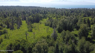 DJI_0821