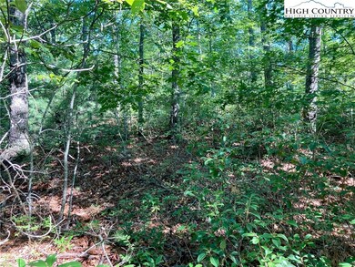 TBD Lady's Mantle Ln, Ferguson, NC 28624 - photo 4