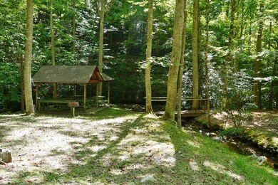 One of Several Picnic Areas