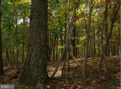 0 Mission Rd unit 1003986339, Harpers Ferry, WV 25425 - photo 4