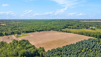 010_dji_0065