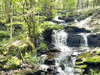 0 Bragg Hollow Rd, Middletown, NY 12438 - photo 5