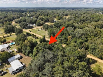 208 N Helmers Ave, Interlachen, FL 32148 - photo 4