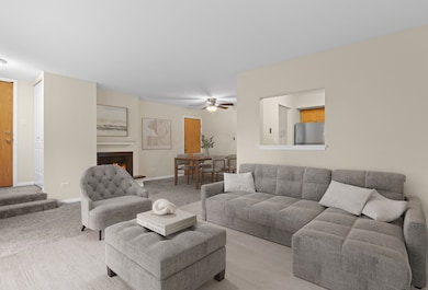 751 S Dwyer Ave unit F, Arlington Heights, IL 60005 - photo 7