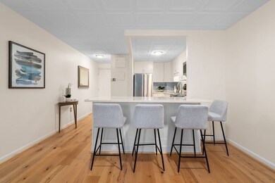 44 Concord Ave unit 103, Cambridge, MA 02138 - photo 7