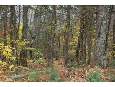 00 Olde Farms Rd, Grantham, NH 03753 - photo 7