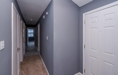 804 Parker St, Augusta, GA 30907 - photo 7