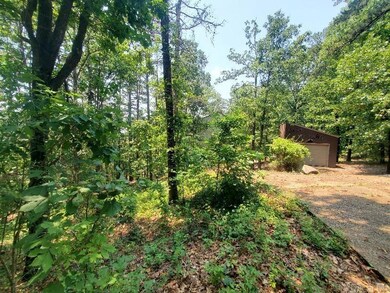 53 Cordoba Way, Hot Springs Village, AR 71909 - photo 2