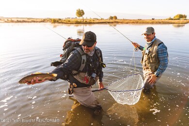 Tributary-FlyFishing-28_Web