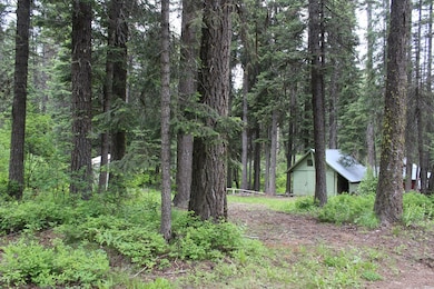 Nicely Wooded