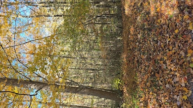 00 Rolling Hills Rd, Pineville, WV 24874 - photo 7