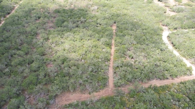 0 Cr 406 (E Off Of) unit County Road 406, Falfurrias, TX 78355 - photo 2