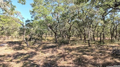 34672 Ansley Ridge Trail, Bulverde, TX 78163 - photo 5