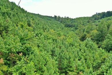 0 Highway 128 unit 2183113, Linden, TN 37096 - photo 2