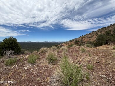 1123 E Broken Arrow Dr, Red Lake, AZ 86046 - photo 5