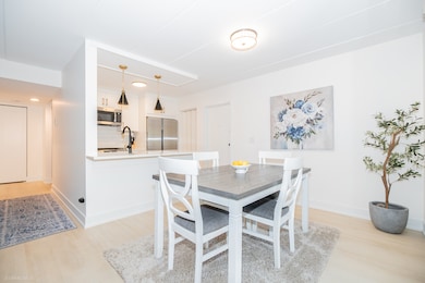 10 E Fountainview Ln unit 1B, Lombard, IL 60148 - photo 4